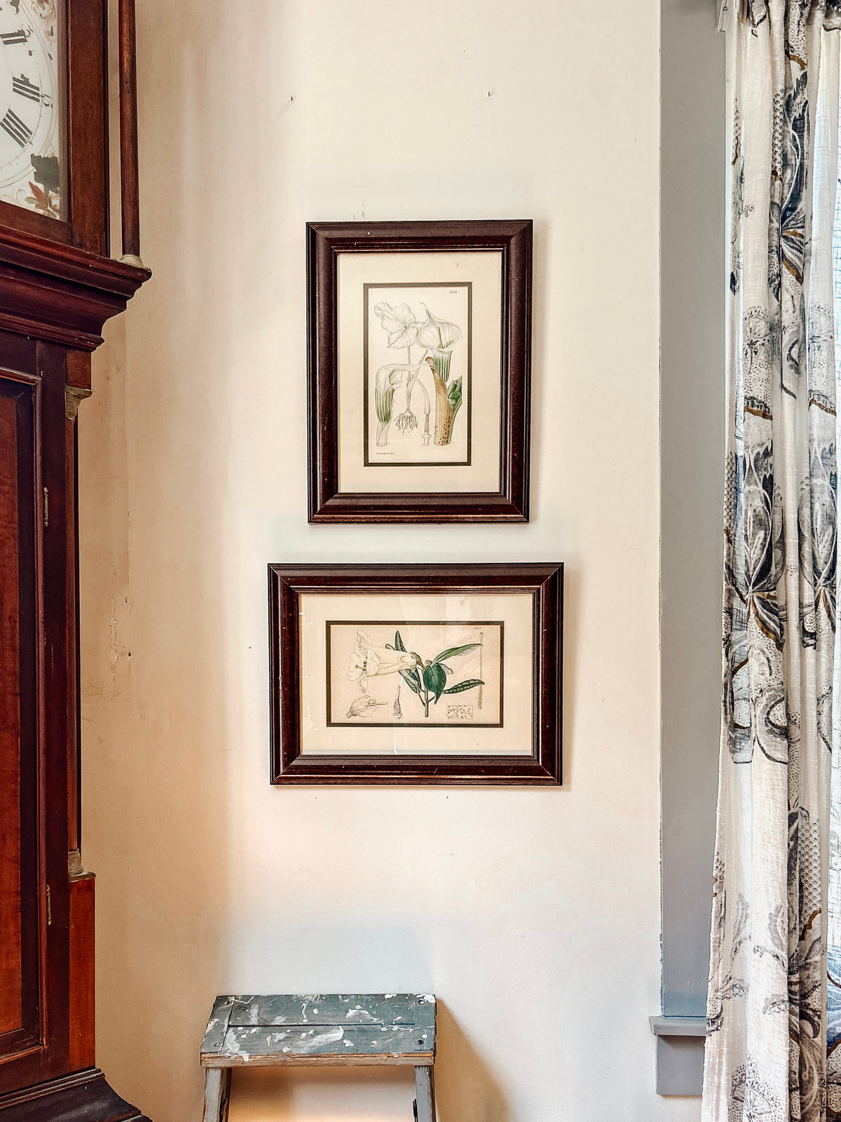 Vintage Botanical Lily Framed Prints Set of 2