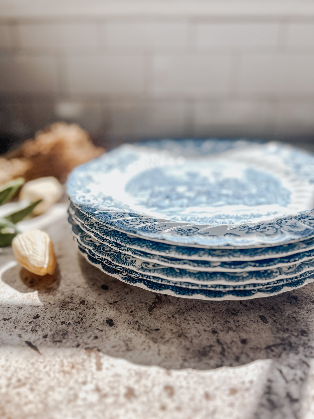 Vintage Blue Transferware Dinner Plate Set